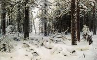 Ivan Shishkin - Winter